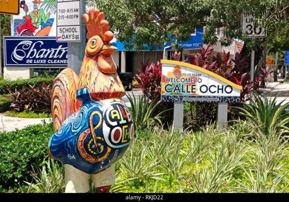 Intimate Casita Mia Minutes Away From Airport, Calle 8, Brickell, Coral Gables, The Beach And More! Майами Экстерьер фото